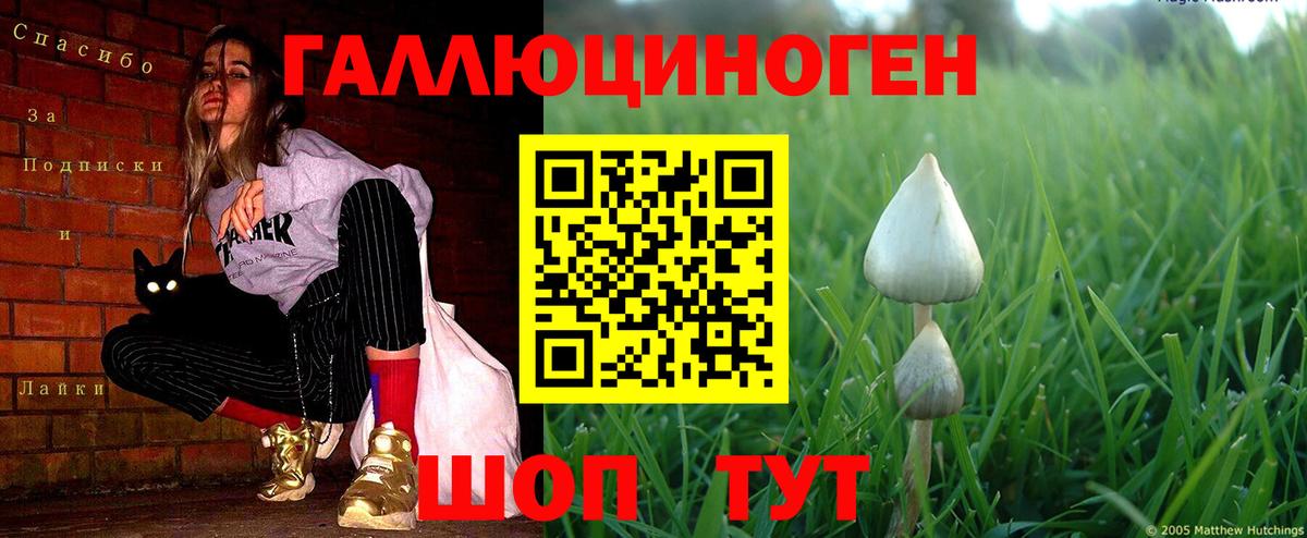 Псилоцибиновые грибы мухоморы  что такое   Ейск  Вход с VPN 
